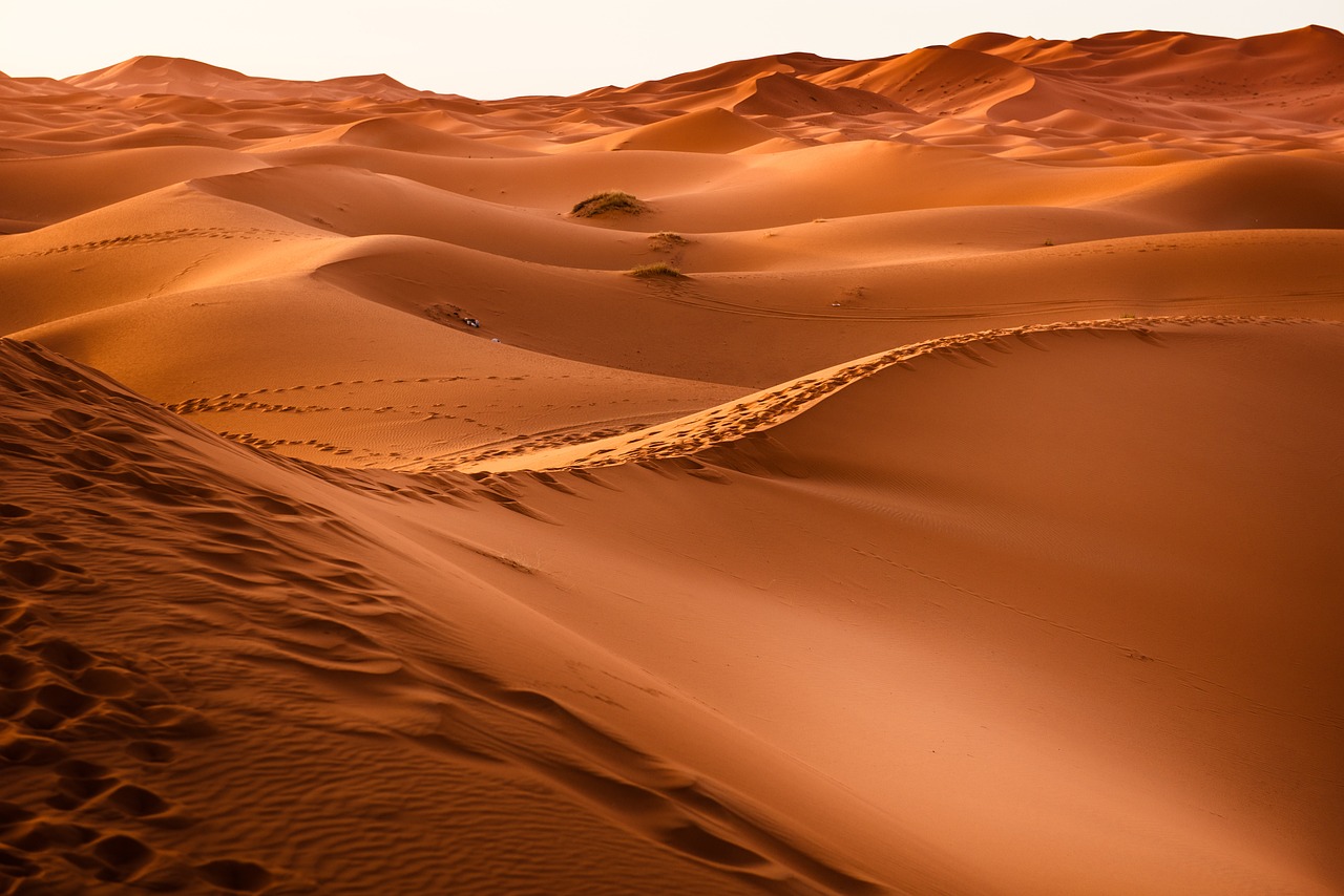 NEOM Saudi Arabia Desert